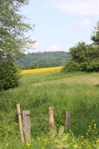 projectmanagementimage