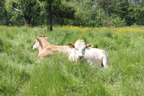 Agrarisch natuurbeheer 2016