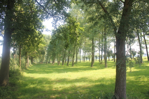 Organisatie ontwikkeling Boerennatuur.nl