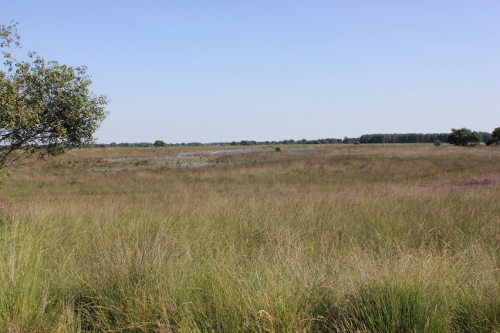 Groen Ontwikkelfonds Brabant