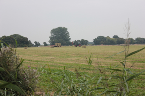 Organisatie ontwikkeling Boerennatuur.nl