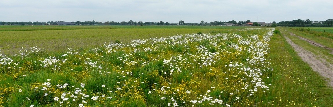 Agrarisch natuurbeheer 2016