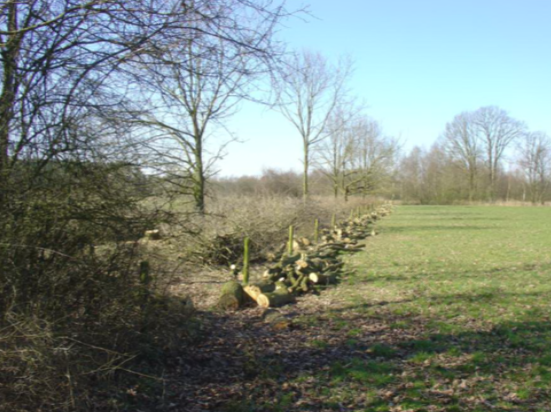 Stimuleringskader Groenblauwe Diensten