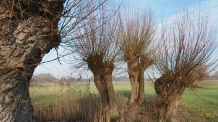 Catalogus Groenblauwe Diensten