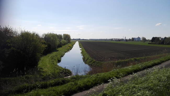 Landschappelijke inpassing windpark Oude Dintel