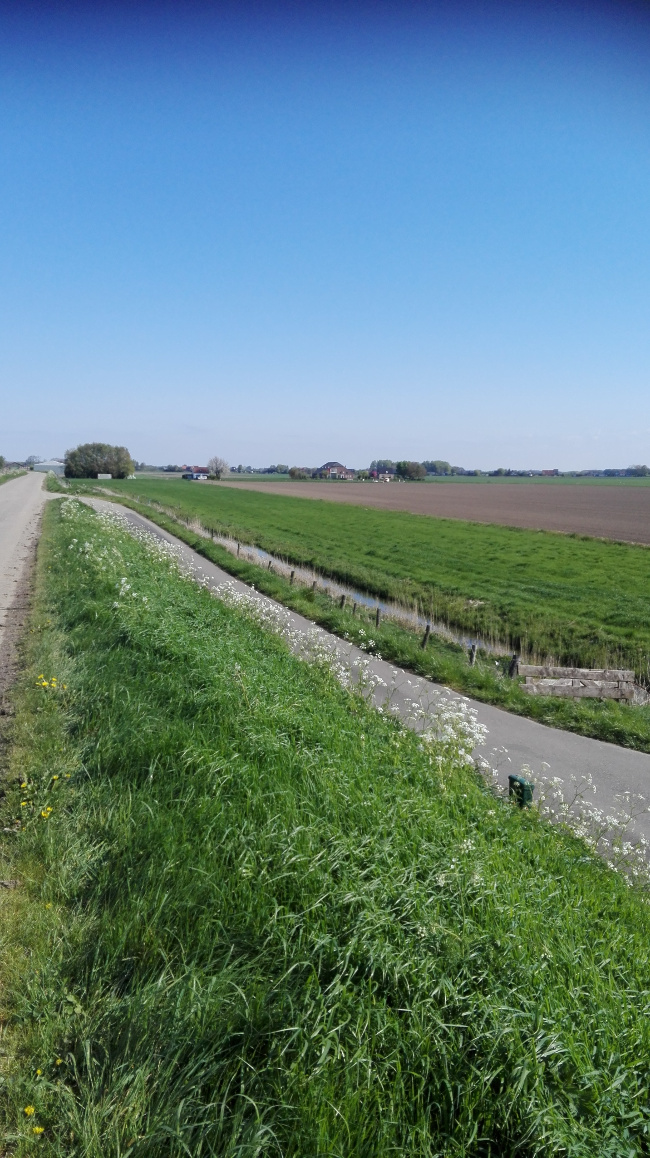 Landschappelijke inpassing windpark Oude Dintel