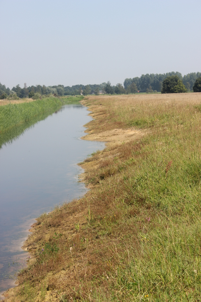 Hervorming stimuleringskader groenblauwe diensten